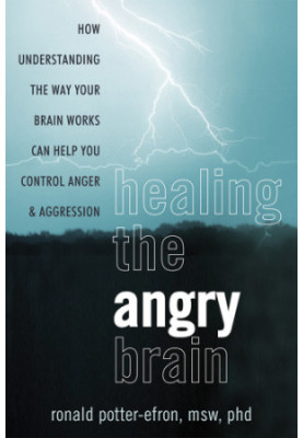 Healingthe Angry Brain