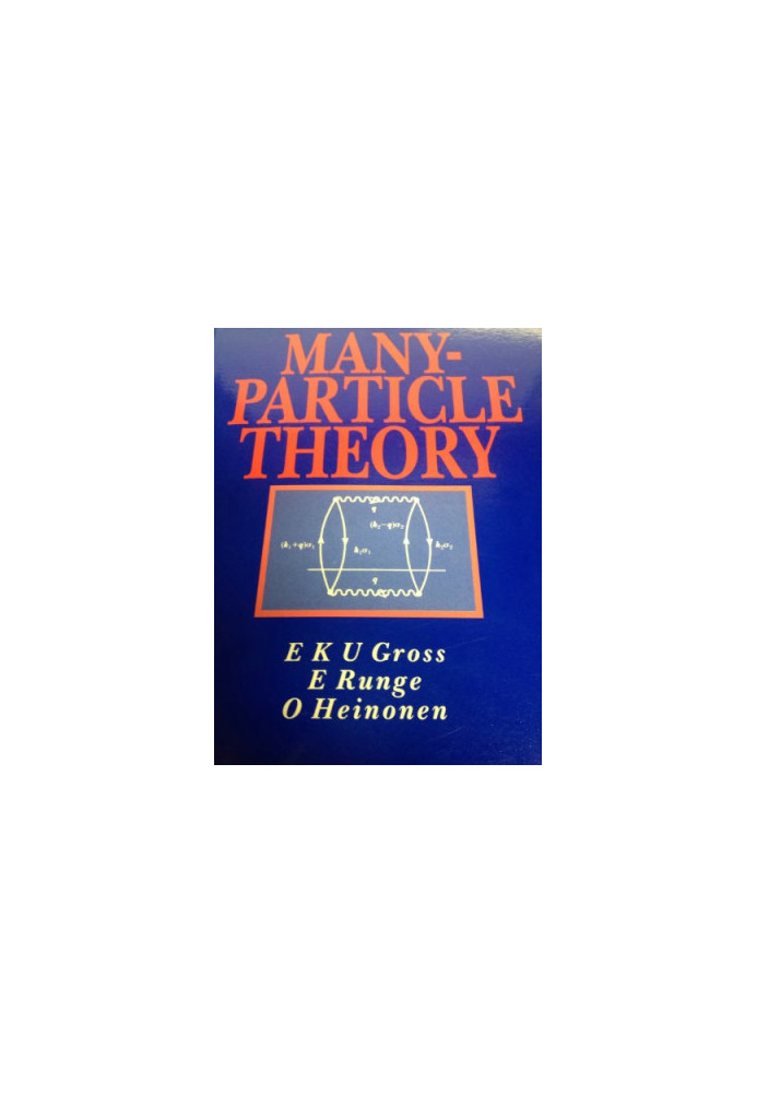Many-particle theory