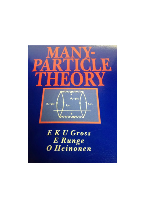 Many-particle theory