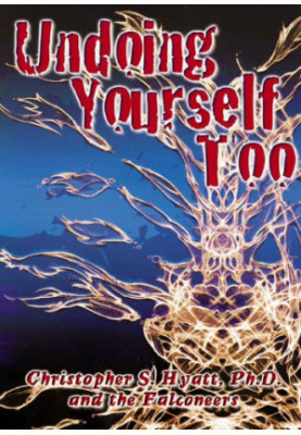 Undoing Yourself Too