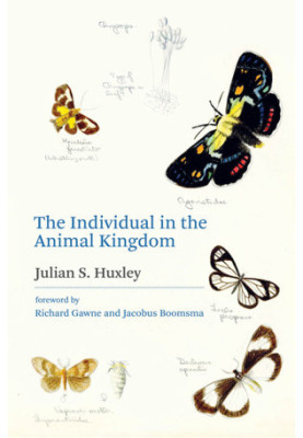 The Individual in the Animal Kingdom