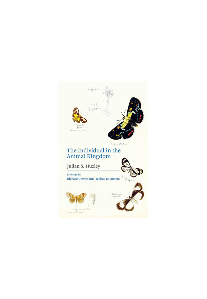 The Individual in the Animal Kingdom