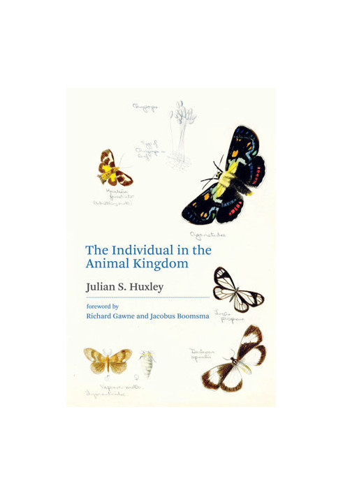 The Individual in the Animal Kingdom