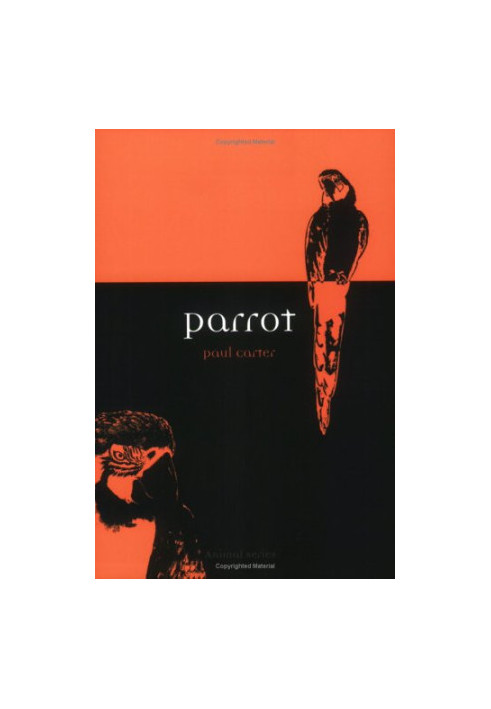 Parrot (Reaktion Books - Animal)