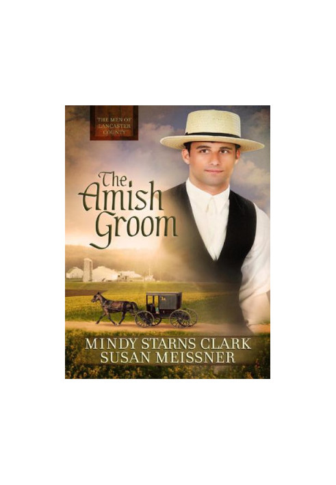 The Amish Groom (The Men of Lancaster County Book 1)