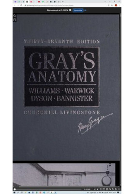 Gray's anatomy (37th Edition)