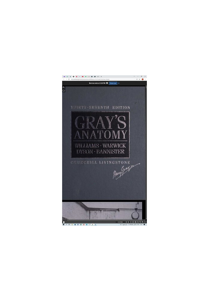 Gray's anatomy (37th Edition)