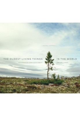 The Oldest Living Things in the World