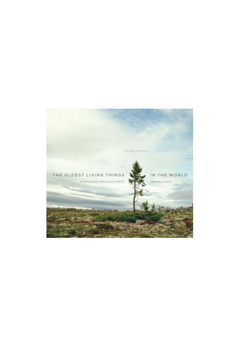 The Oldest Living Things in the World