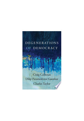Degenerations of Democracy