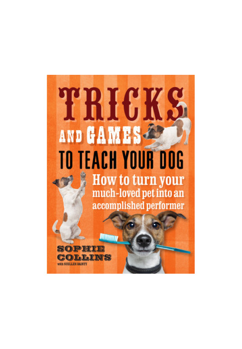 Tricks and Games to Teach Your Dog : How to Turn Your Well-loved Pet into an Accomplished Performer