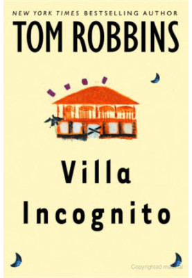 Villa Incognito