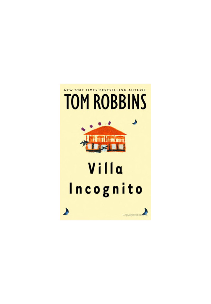 Villa Incognito