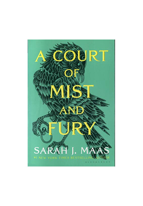 A Court of Mist and Fury (A Court of Thorns and Roses 2)