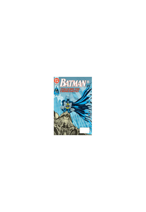Batman the Caped Crusader 2: The Origin of Robin