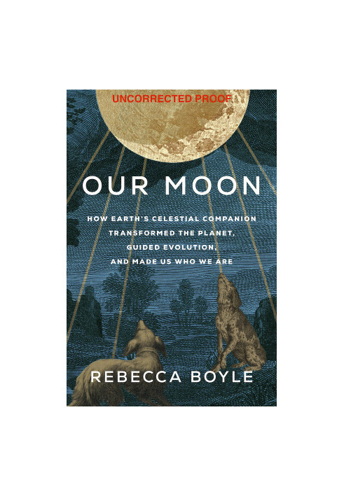 Our Moon