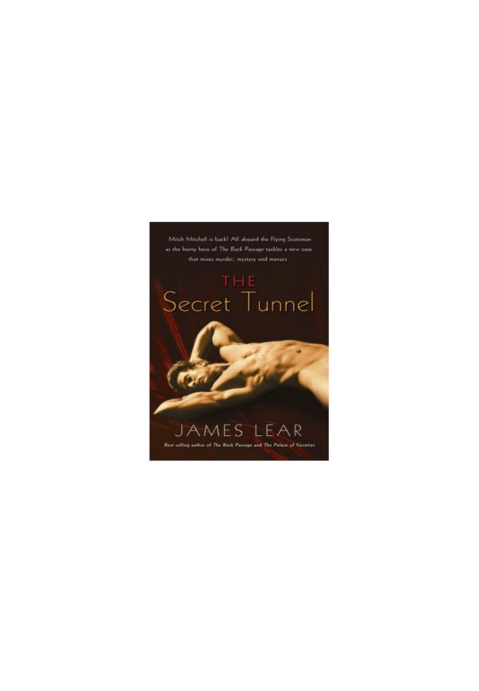 [Mitch Mitchell Mystery 02] • The Secret Tunnel