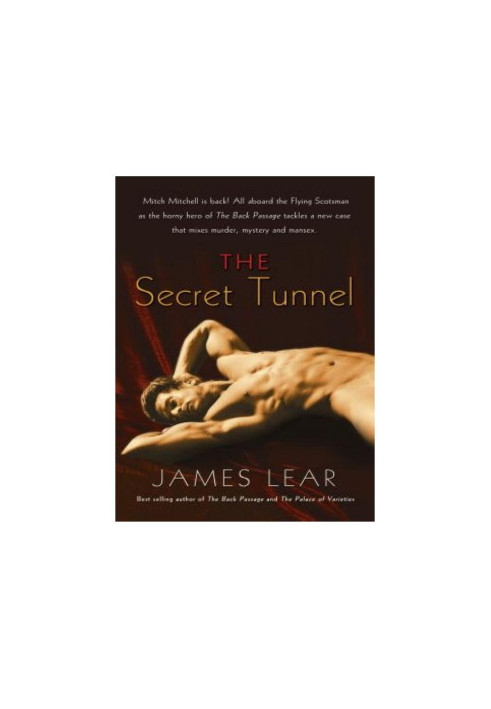 [Mitch Mitchell Mystery 02] • The Secret Tunnel