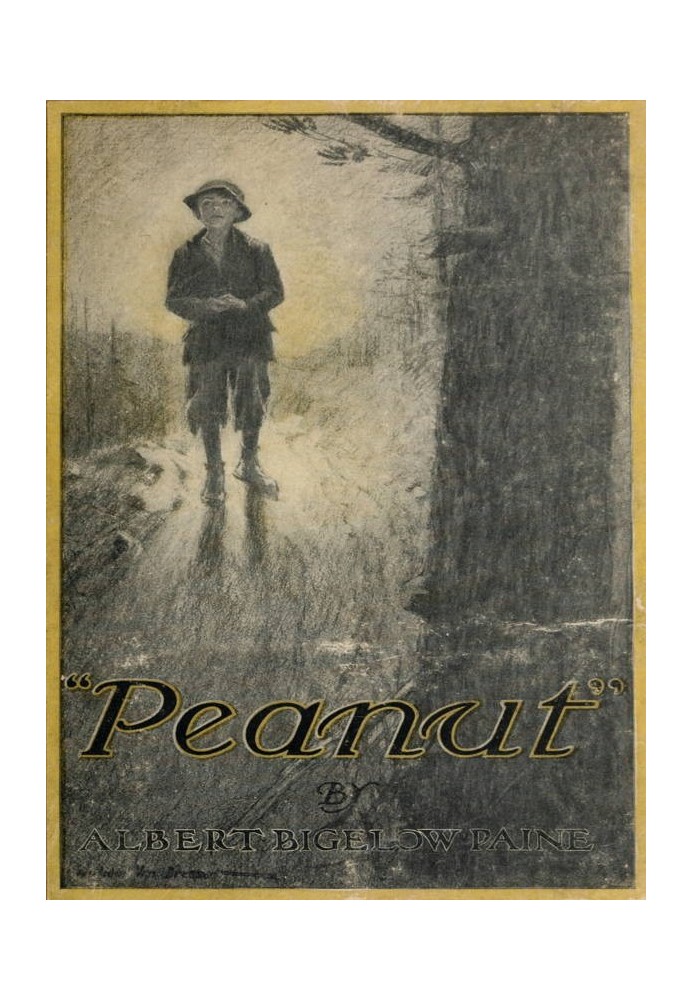 "Peanut": The Story of a Boy