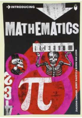 Introducing Mathematics: A Graphic Guide