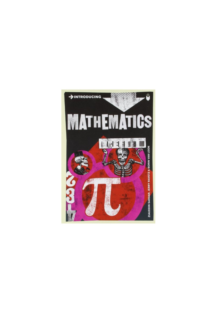 Introducing Mathematics: A Graphic Guide