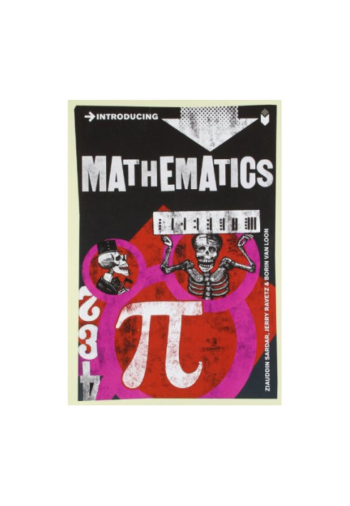 Introducing Mathematics: A Graphic Guide