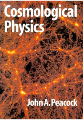 Cosmological physics