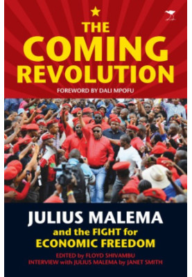 The coming revolution: Julius Malema and the fight for economic freedom