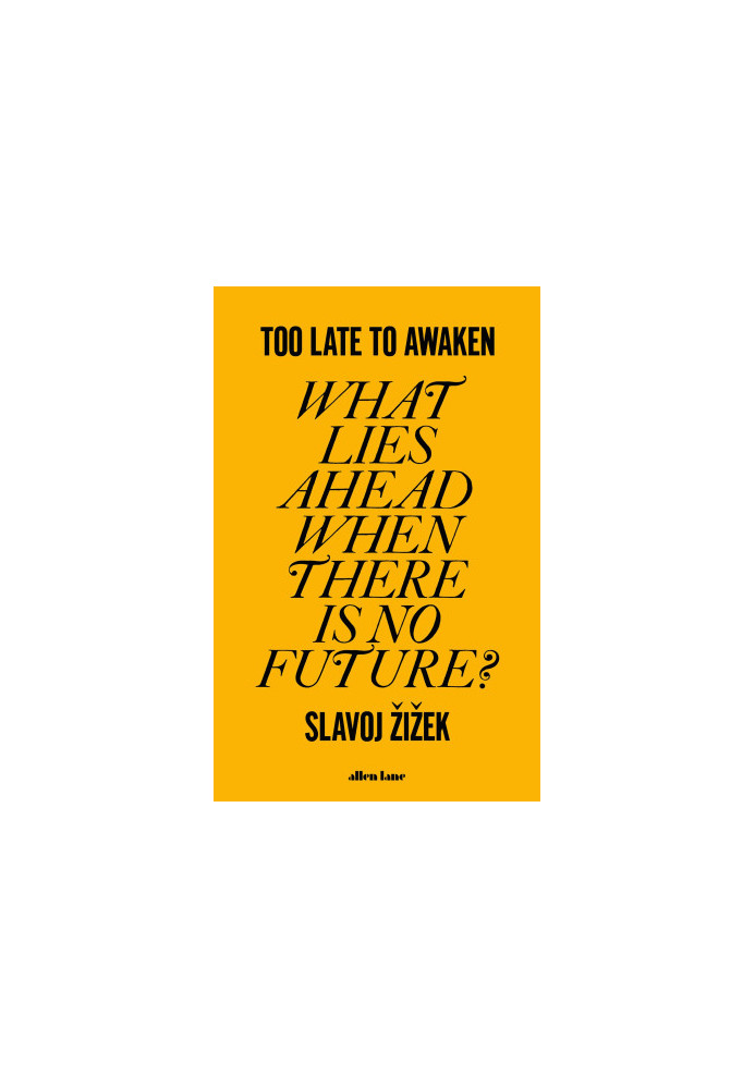 Too Late to Awaken: What Lies Ahead When There Is No Future