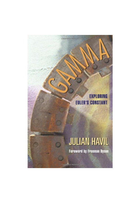 Gamma: exploring Euler's constant