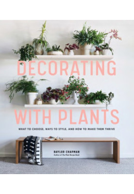 Decorating with plants: what to choose, ways to style, and how to make them thrive