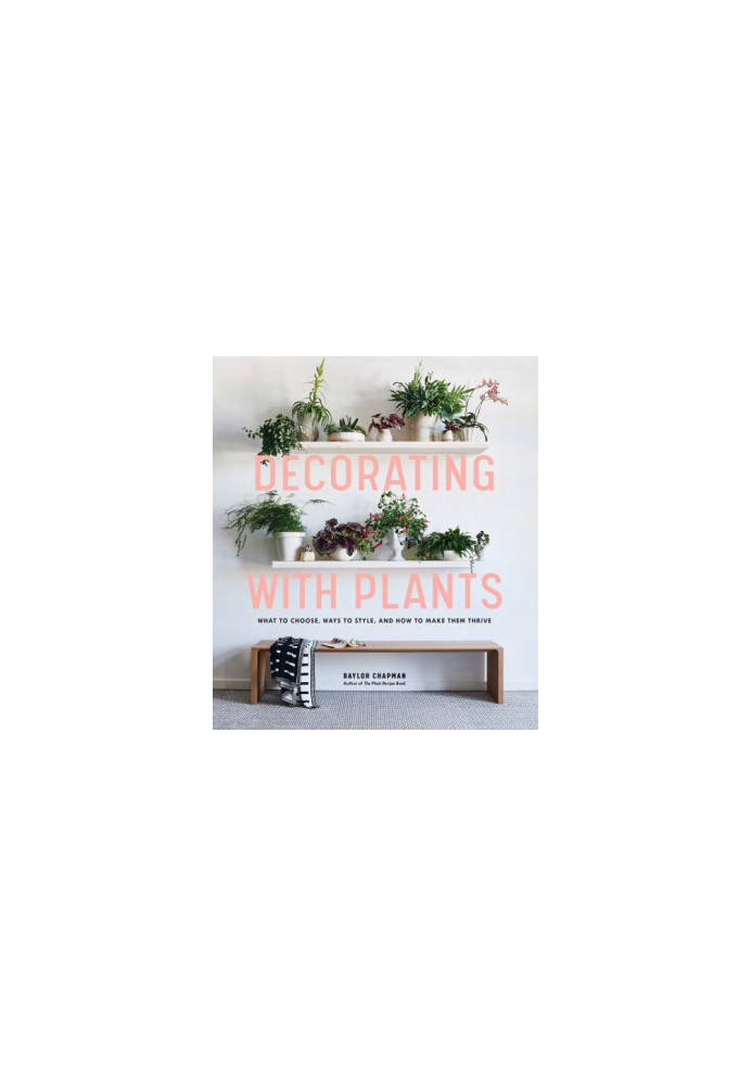 Decorating with plants: what to choose, ways to style, and how to make them thrive