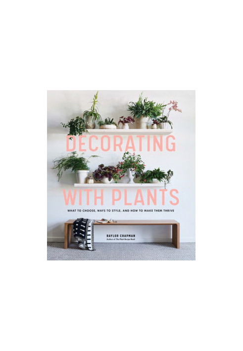 Decorating with plants: what to choose, ways to style, and how to make them thrive