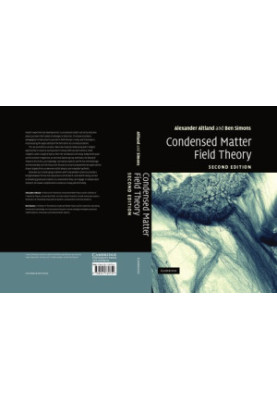 Condensed Matter Field Theory