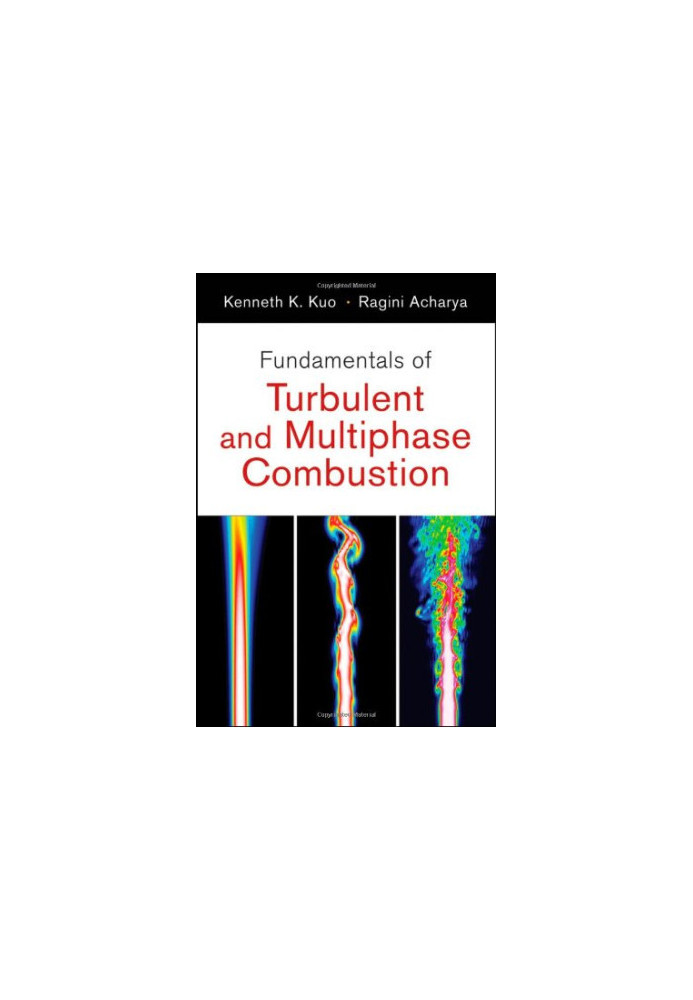 Fundamentals of Turbulent and Multi-Phase Combustion