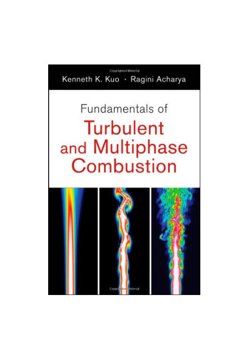 Fundamentals of Turbulent and Multi-Phase Combustion