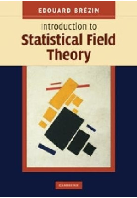 Introduction to statistical field theory