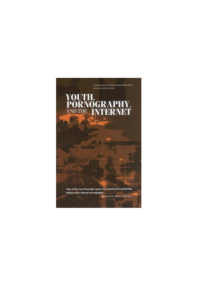 Youth, Pornography and the Internet