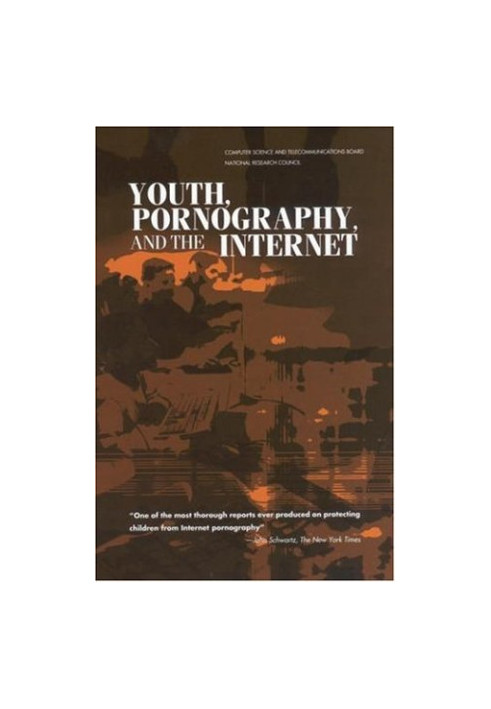 Youth, Pornography and the Internet