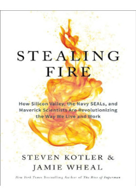Stealing Fire