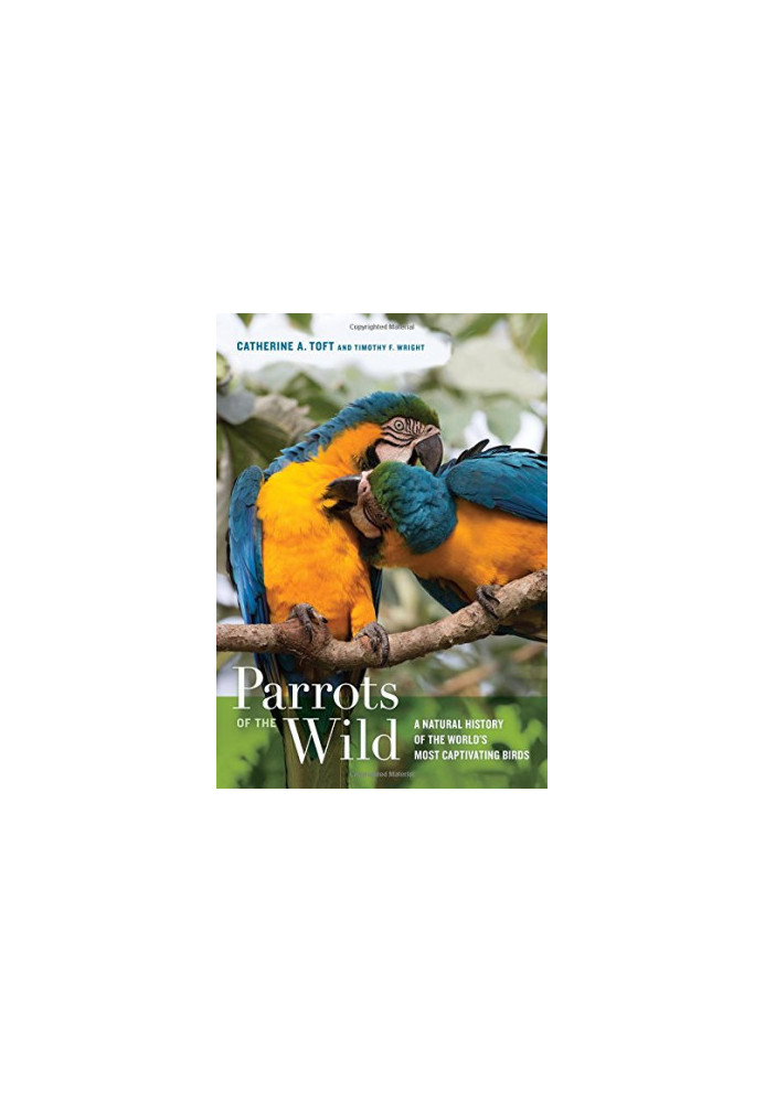 Parrots of the Wild: A Natural History of the World's Most Captivating Birds