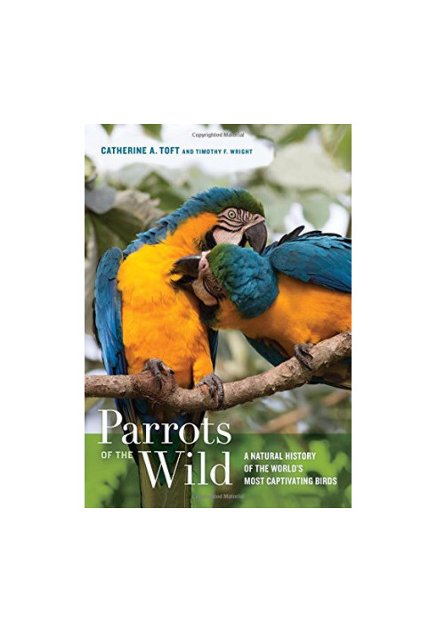 Parrots of the Wild: A Natural History of the World's Most Captivating Birds
