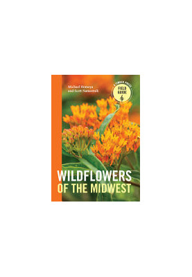 Wildflowers of the Midwest