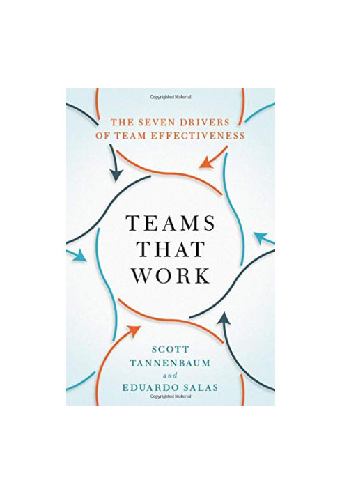 Teams That Work: The Seven Drivers of Team Effectiveness