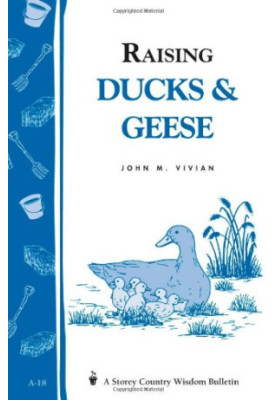Raising Ducks & Geese