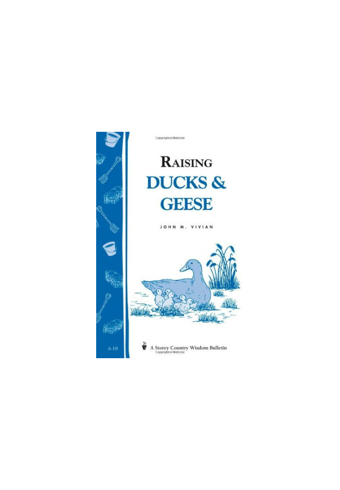 Raising Ducks & Geese