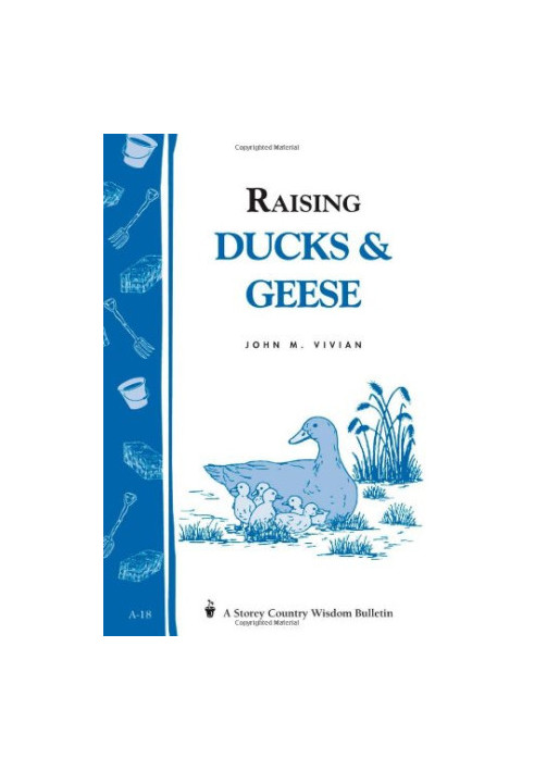 Raising Ducks & Geese