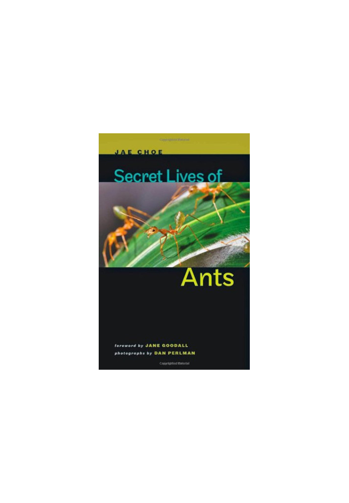 Secret Lives of Ants