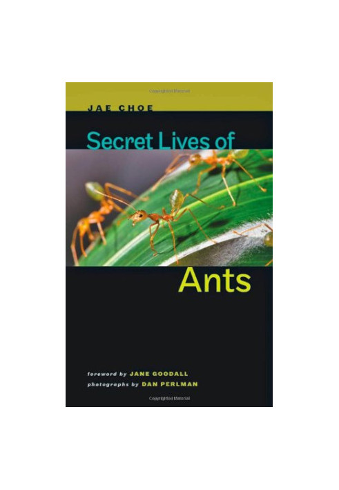 Secret Lives of Ants