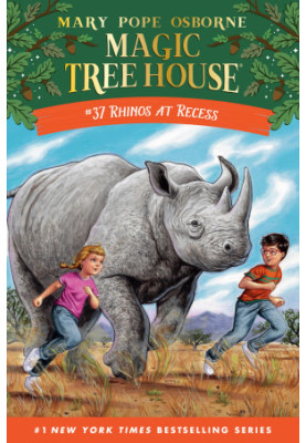 Rhinos at Recess